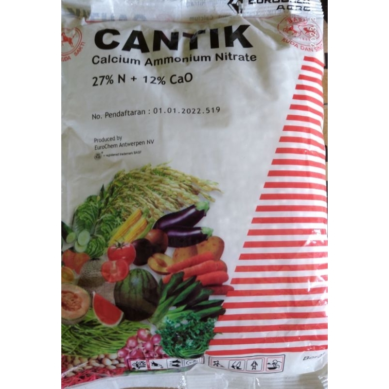 PUPUK CANTIK 1 KG