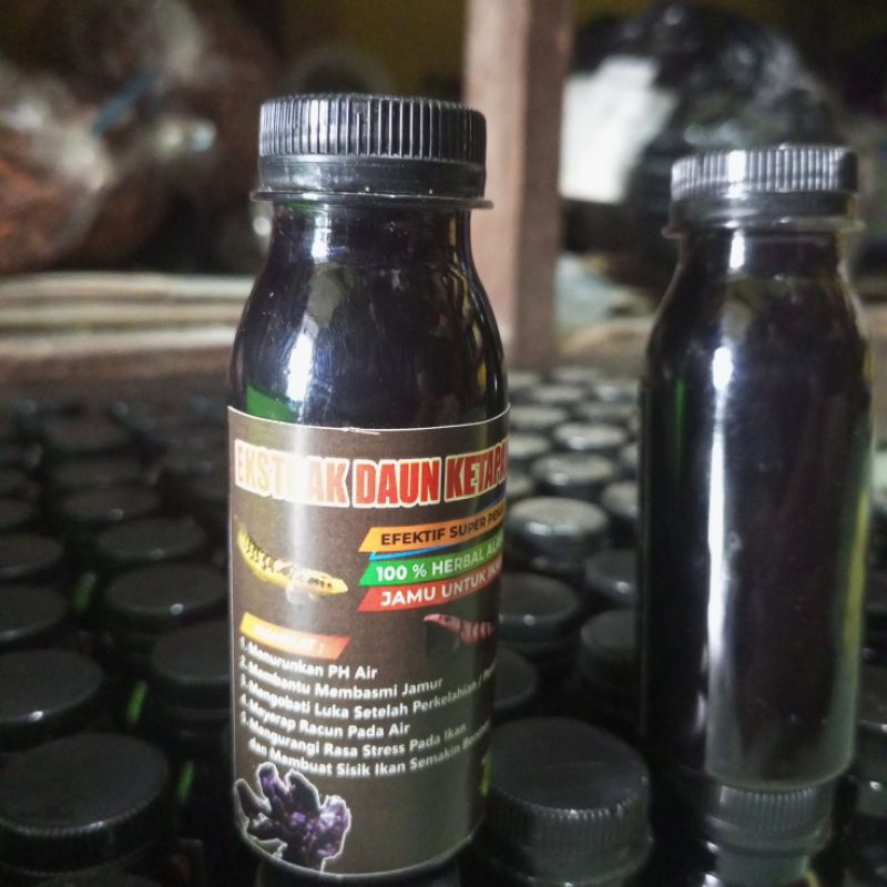 Olahan Extrak Ketapang laut Super pekat kemasan 100ml/obat ikan Channa/obat ikan cupang