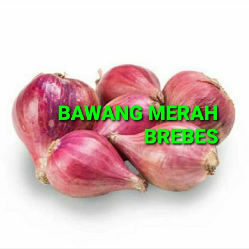 

BAWANG MERAH BREBES KHUSUS PARA SULTAN 1 KG (PREMIUM QUALITY)