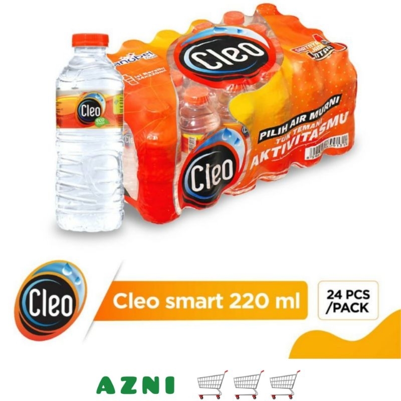 

CLEO Smart Air Mineral Botol 220ml 24pcs