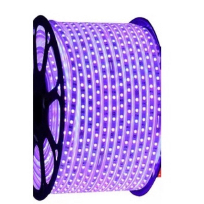 LAMPU LED STRIP SELANG SMD 5050 100M 100 METER / LAMPU PLAFON CEILING DRIP CEILING PLAFON LED