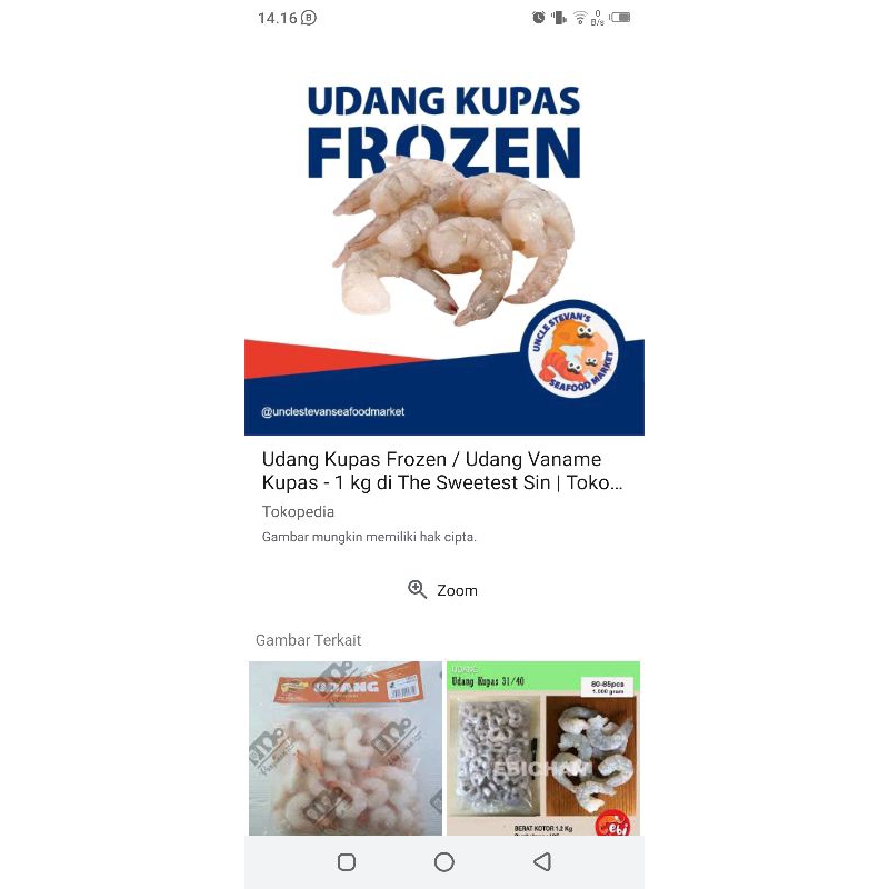 

UdangFrozen