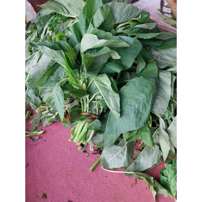 

bayam kampung