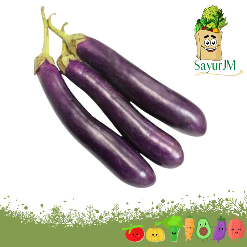 

SayurJM Terong Ungu 500gram / Sayur Segar / Sayuran Segar / Sayur Murah