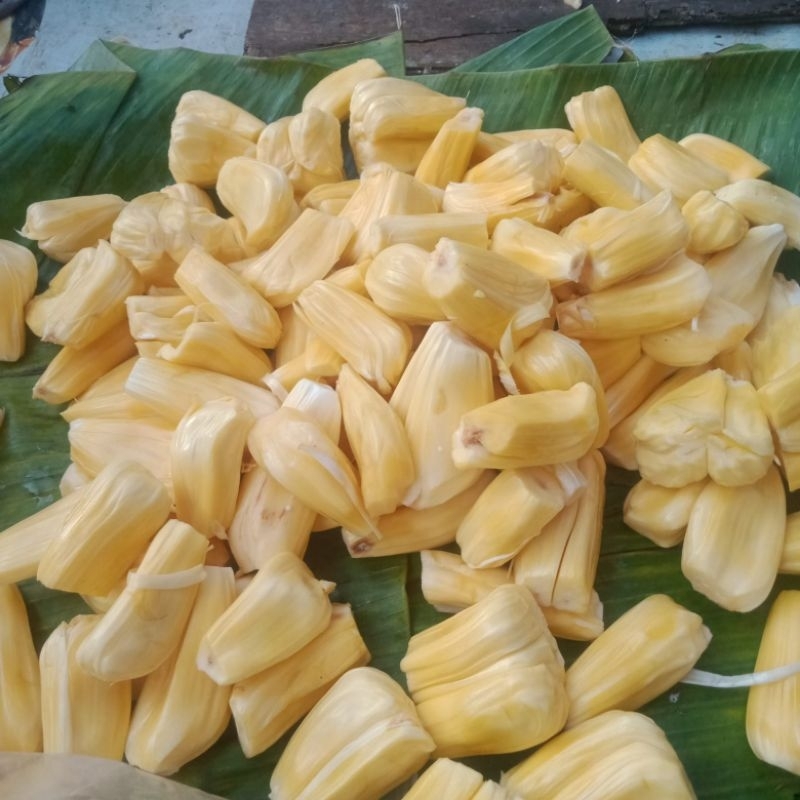 nangka matang