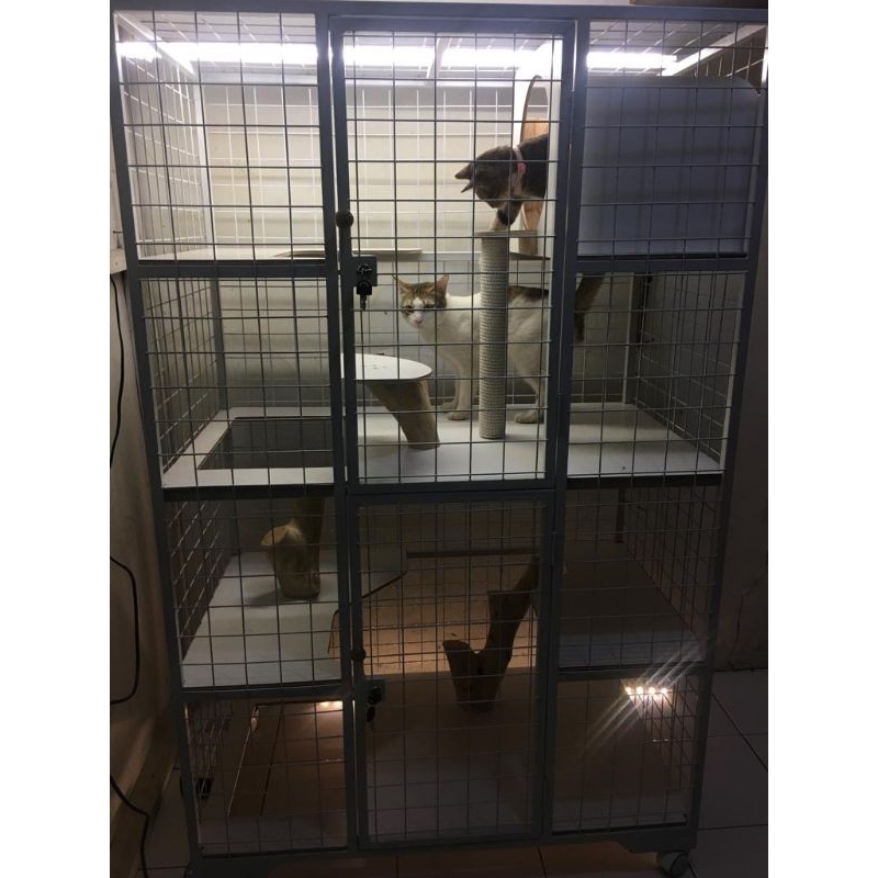 kandang Kucing besi tingkat 4