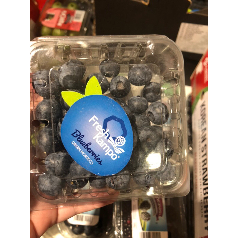 

Buah Blueberry Marocco Import 125 grm
