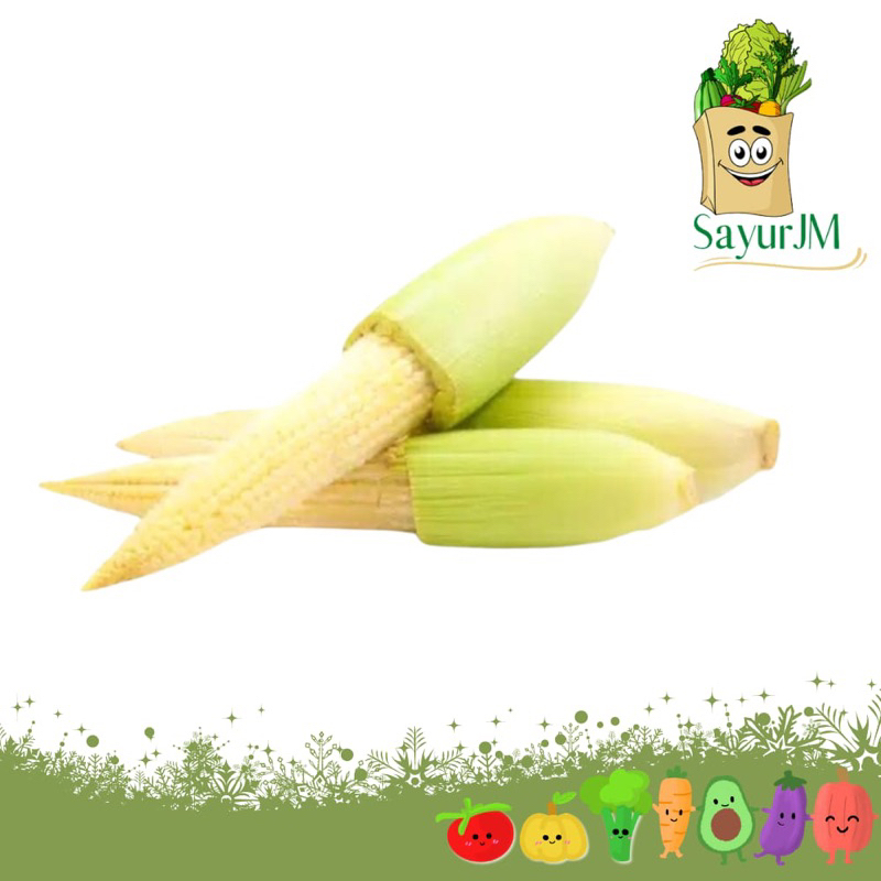 

Sayur Jagung Mini 1/4Kg 1/2Kg 1Kg/ Sayuran Acar Segar Bersih