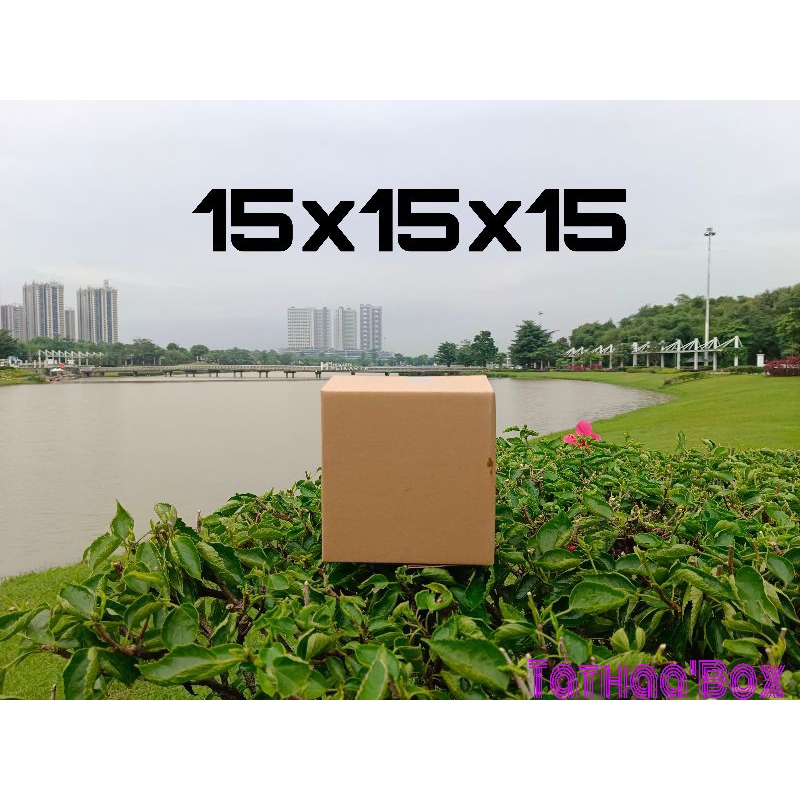 

kardus packing 15x15x15