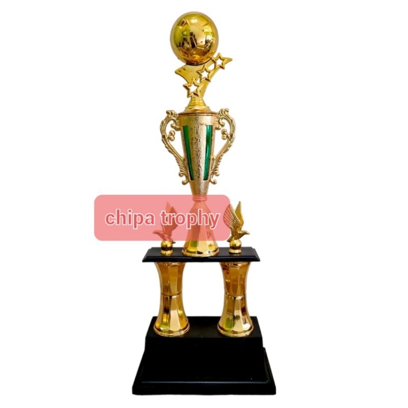 PIALA kaki 2 garis bola