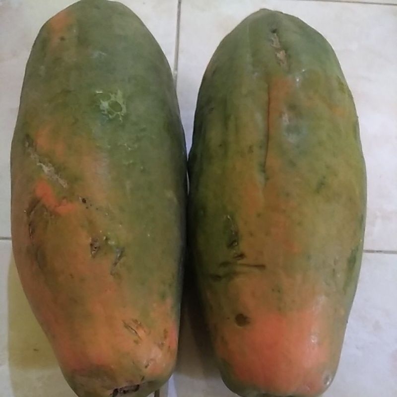 

PEPAYA KATES MATANG MANIS