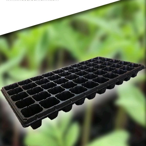 grosir murah PottRay/ tray semai premium type/ lubang 200 & 128/ seedling tray/ tray semai