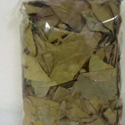 

TERBAIK HERBAL DAUN NYAMPLUNG KERING- 500 GRAM