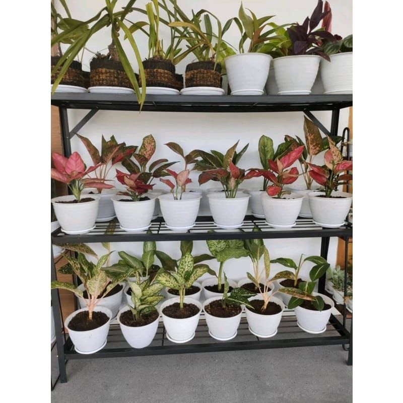 rak tanaman besi susun / rak bunga besi/rak tanaman hias