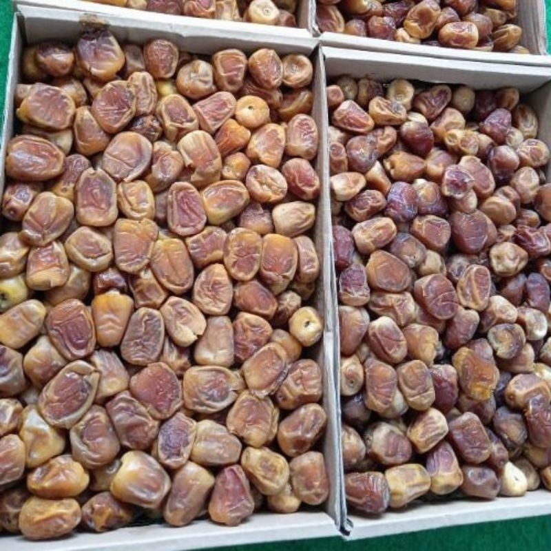 

Kurma Sukari Al mushaiti 3 Kg Free Bubble