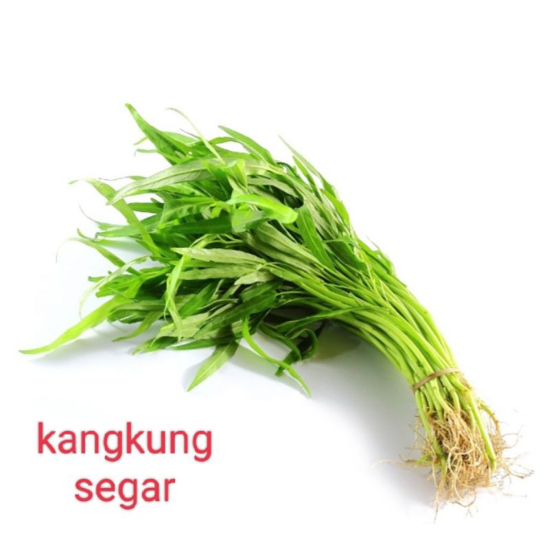 

Kangkung Segar
