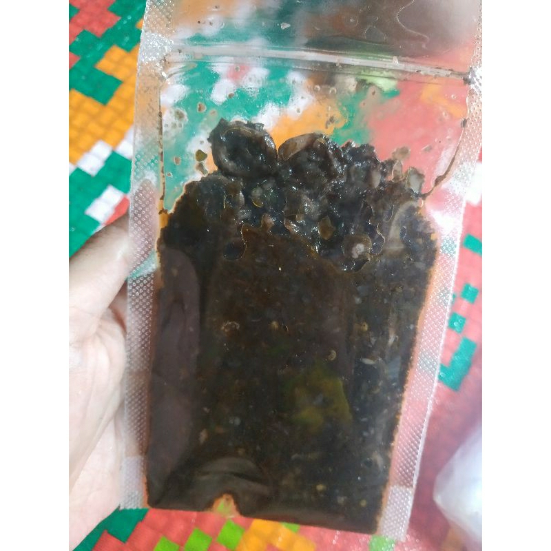 CUMI HITAM PEDAS NO BRAND