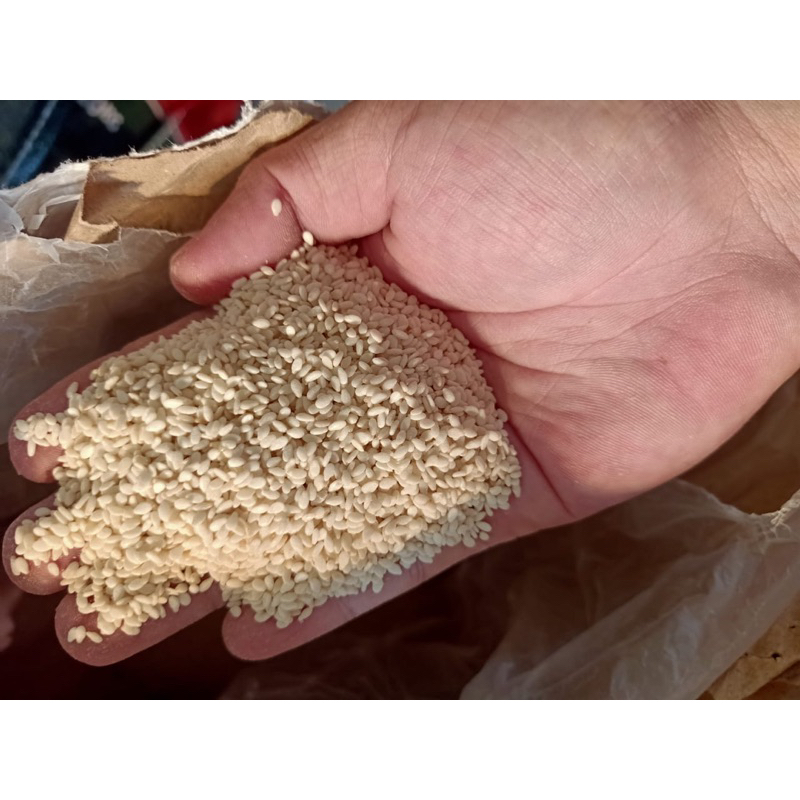 

Wijen Putih Import 250Gram 1/4 kilo Premium Quality Dijamin Fresh
