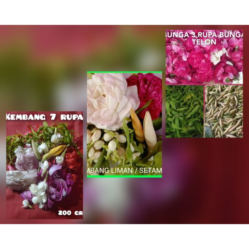 Bunga 7 Rupa Kembang segar,Bunga 5 Rupa Kembang Setaman, Bunga 3 Rupa Kembang Telon