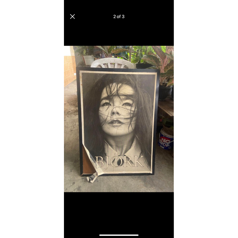 poster BJORK original