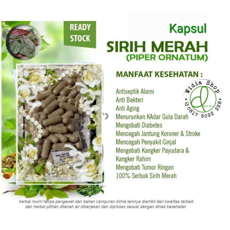 Kapsul Daun Sirih Merah  (isi 100)