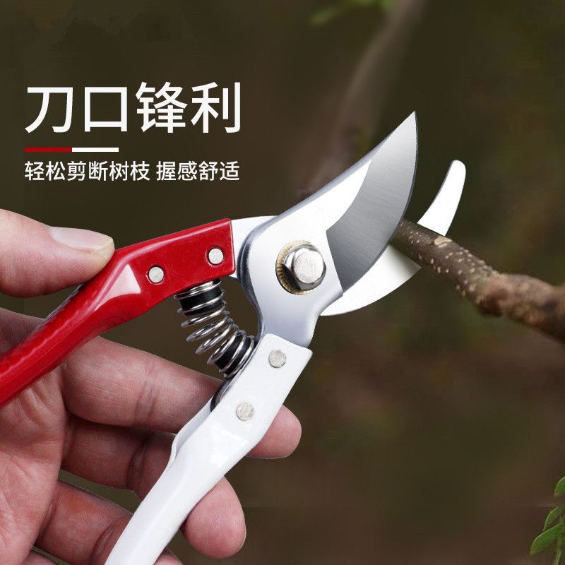 Gunting Ranting, Gunting dahan Gagang Besi, Gunting Serbaguna