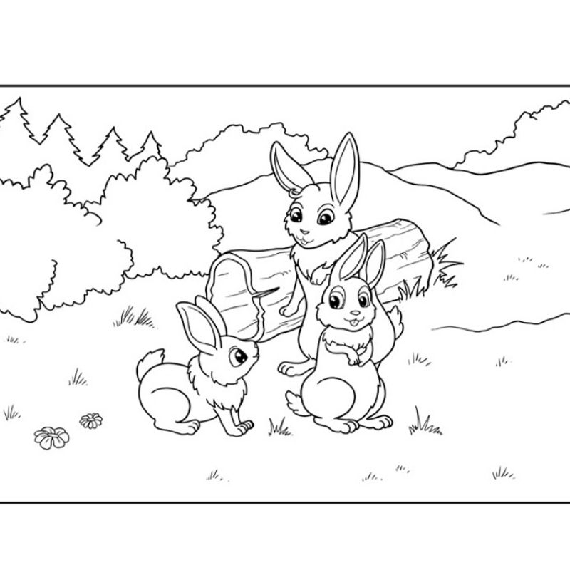 

Gambar Sketsa Mewarnai Edisi Hewan Peliharaan Kelinci 03 / Seketsa Lukis / Drawing Sketch / Kertas Menggambar A4