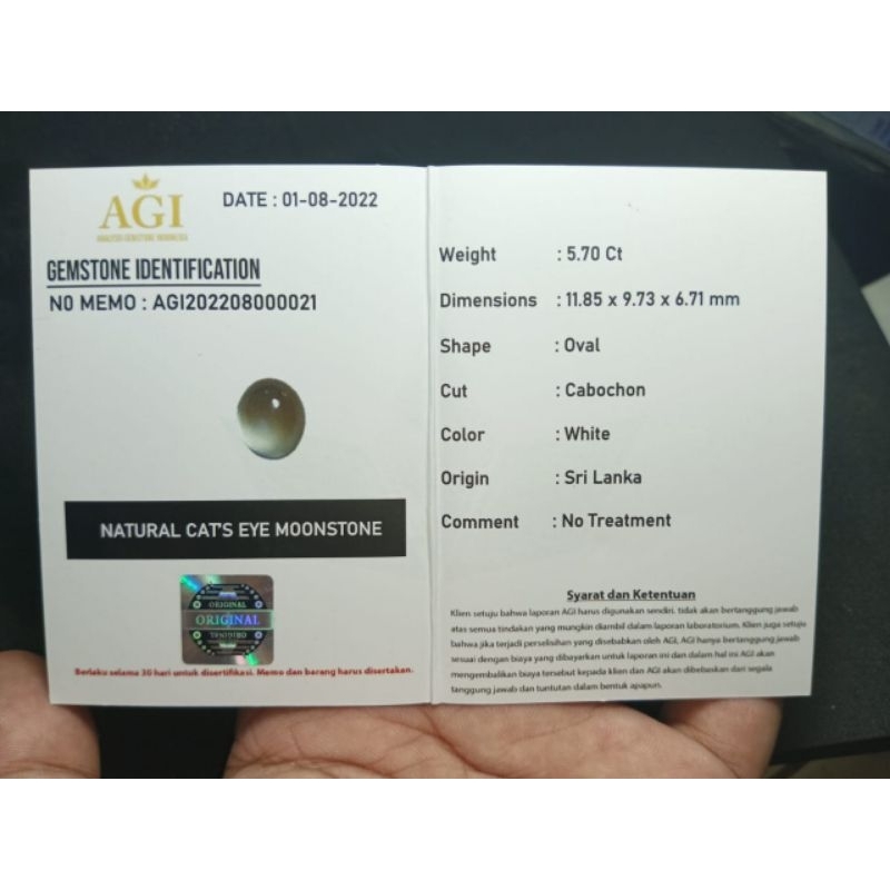 LOSETONE WHITE CAT'S EYE MOONSTONE OVAL + MEMO LAB ASLI NATURAL