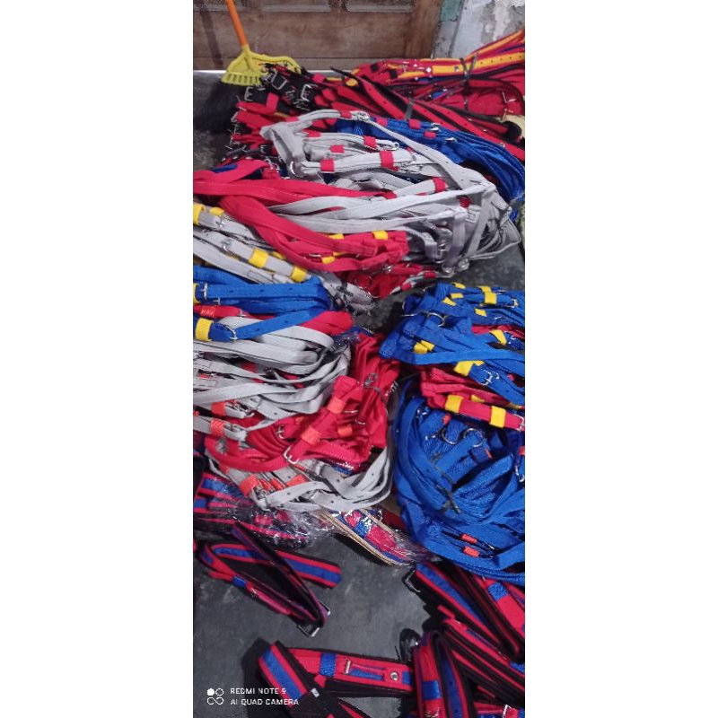 head halter sapi/sabuk moncong sapi/brangus