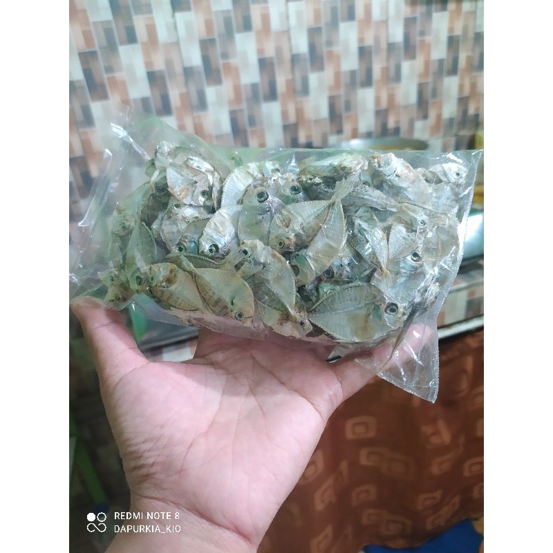 

ikan asin