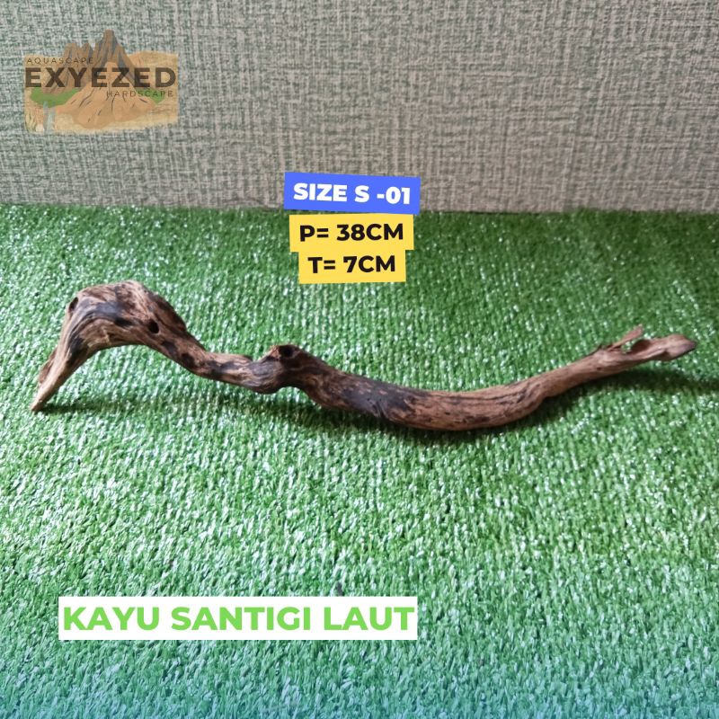 Kayu Santigi Laut Karang / Kayu Sentigi Aquarium Aquascape Size S