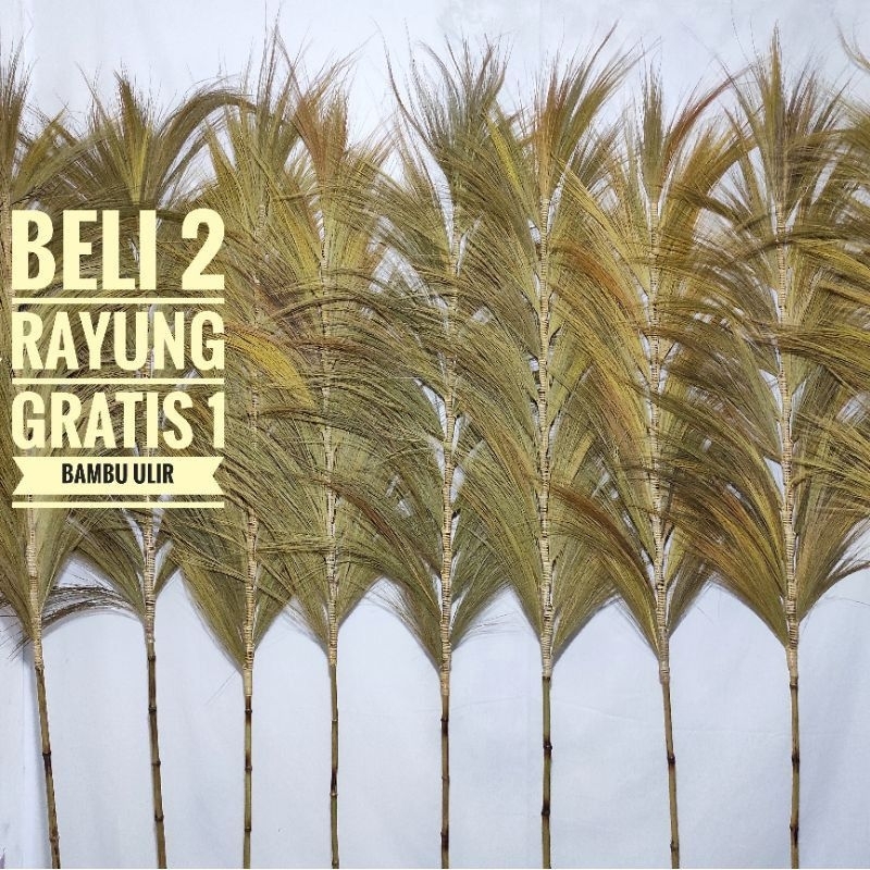 Dekorasi Rumah Bunga Rayung Kering Natural / Homedecor Rayung Natural / Rayung Kering Rustic