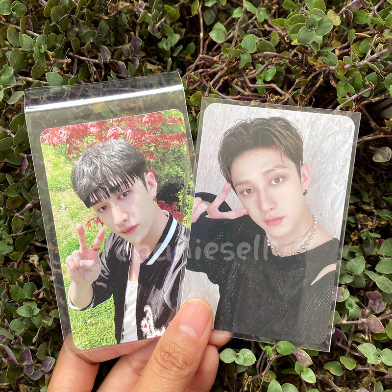 Photocard Stray Kids Bangchan Withfans Maxident wf