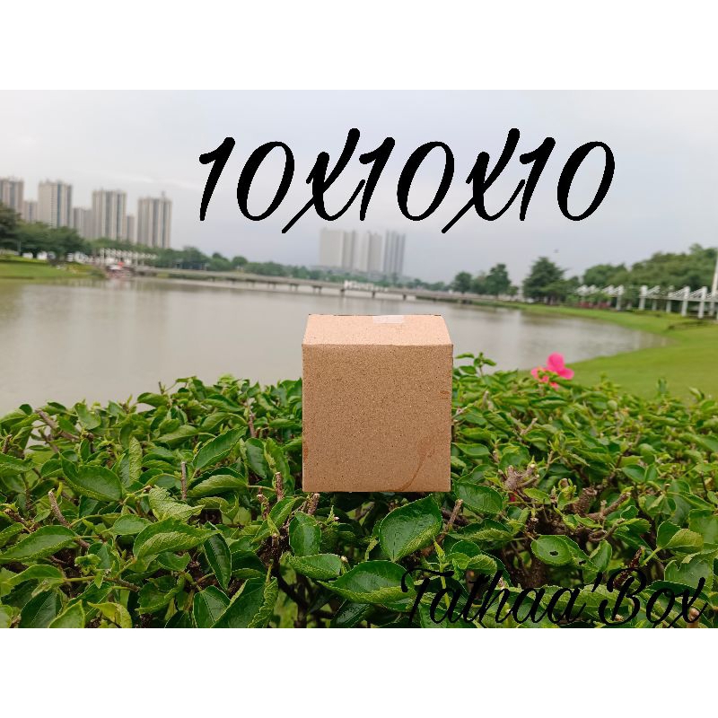 

kardus packing 10x10x10