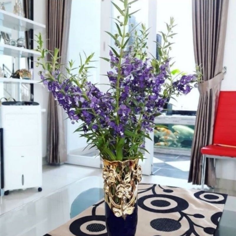 Bisa Cod Tanaman Hias Lavender Tanaman Hias Lavender Asli