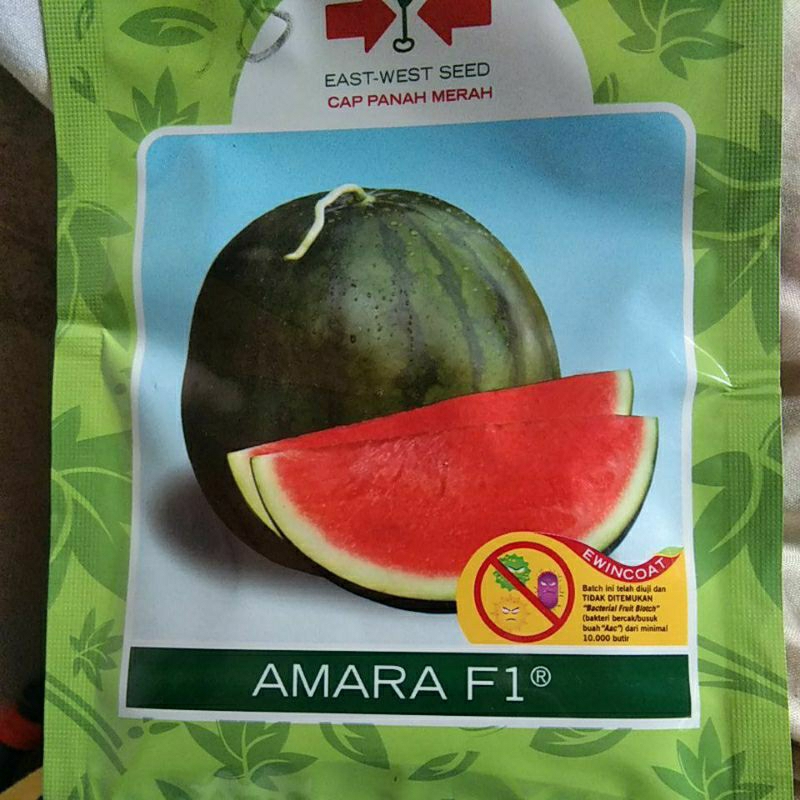semangka non biji AMARA F1