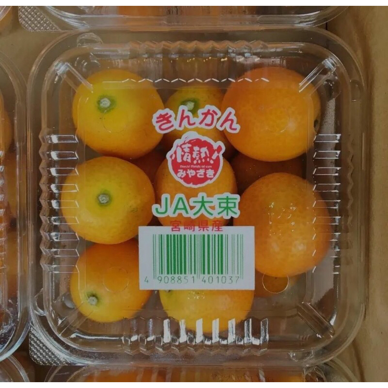 Jeruk Kimkit Kinkan Miyazaki Japanese Per Pack Fresh Import