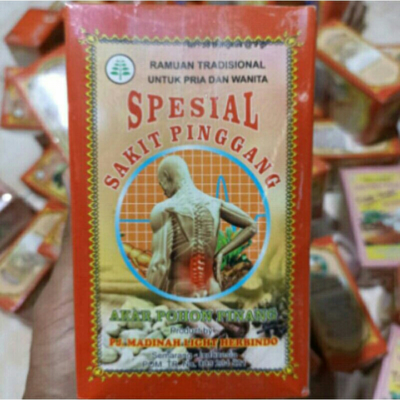 Jamu sakit pinggang akar pohon pinang