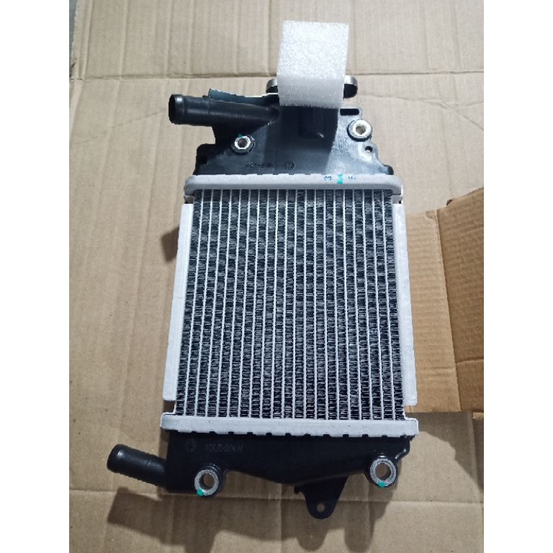 Radiator assy vario 125