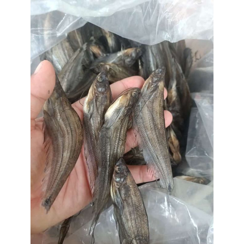

Ikan Asin Lais Kecil