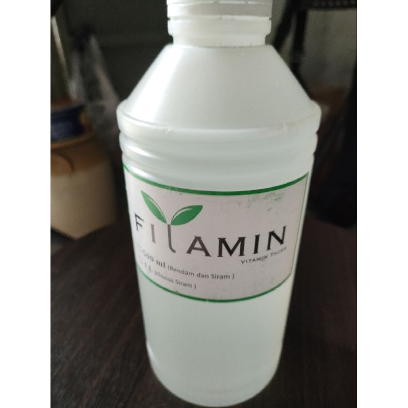 FILAMIN TOGE ORIGINAL