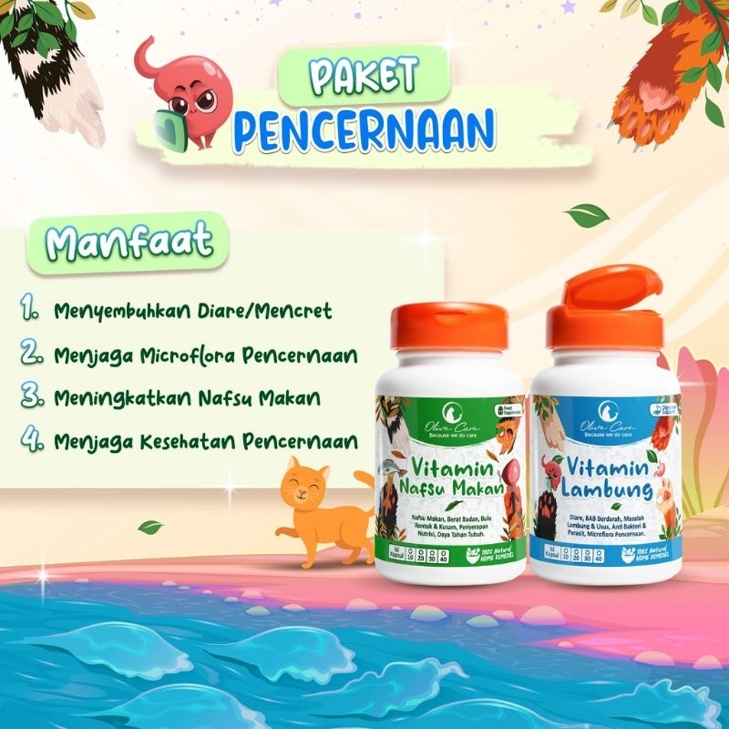 OLIVE CARE PAKET VITAMIN PENCERNAAN