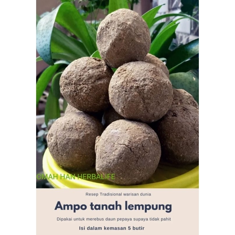 

AMPO TANAH LEMPUNG UNTUK MEREBUS DAUN PEPAYA ISI 5