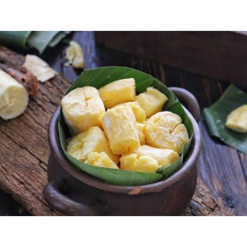Tape Singkong Tapai Potong Kecil Matang Manis Malang