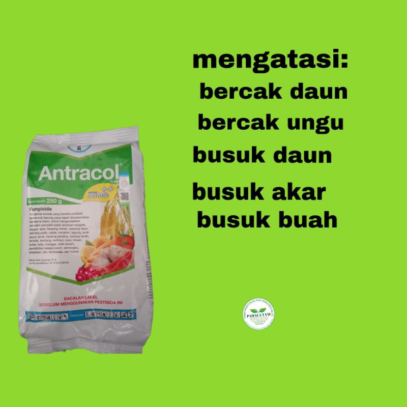 Antracol / fungisida + zink/hama bercak daun/bercak ungu/busuk daun /busuk akar/busuk buah