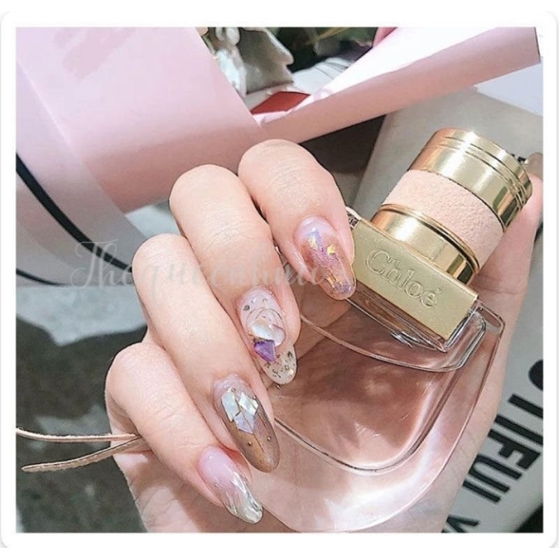 12 Grids Natural Shell Nail Art Ornament Manik Kerang Mutek Kuku