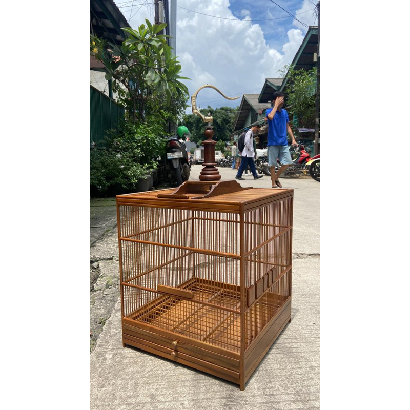 SANGKAR KANDANG JATI NATURAL PENJINAKAN WAMBI