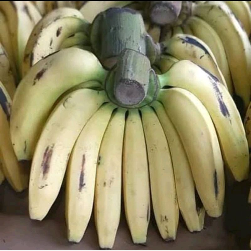 

Pisang Ambon 1 Sisir Segar
