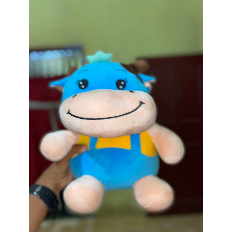 Boneka Asli Timezone