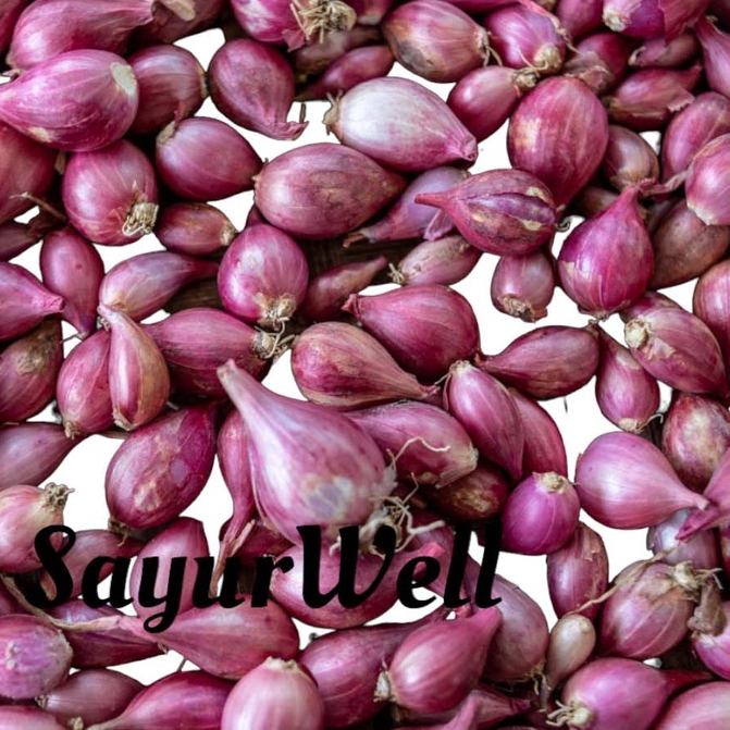 

Bawang Merah Kecil 250gr /500gr dan 1kg Bawang Merah Kualitas Terbaik